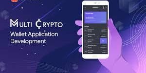 Pick no.1 multi-currency wallet development company after glancing this quick guide!