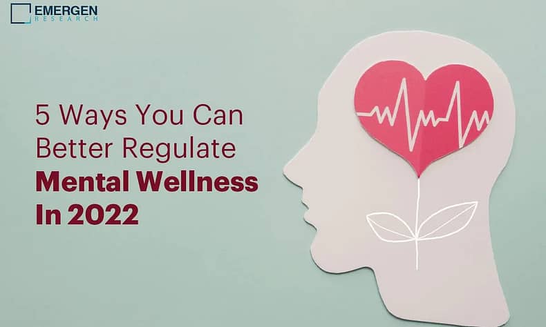 A Perfect Guide on Mental Wellness: 5 Ways You Can Better Regulate Mental Wellness In 2022